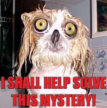 Solve This Mystery